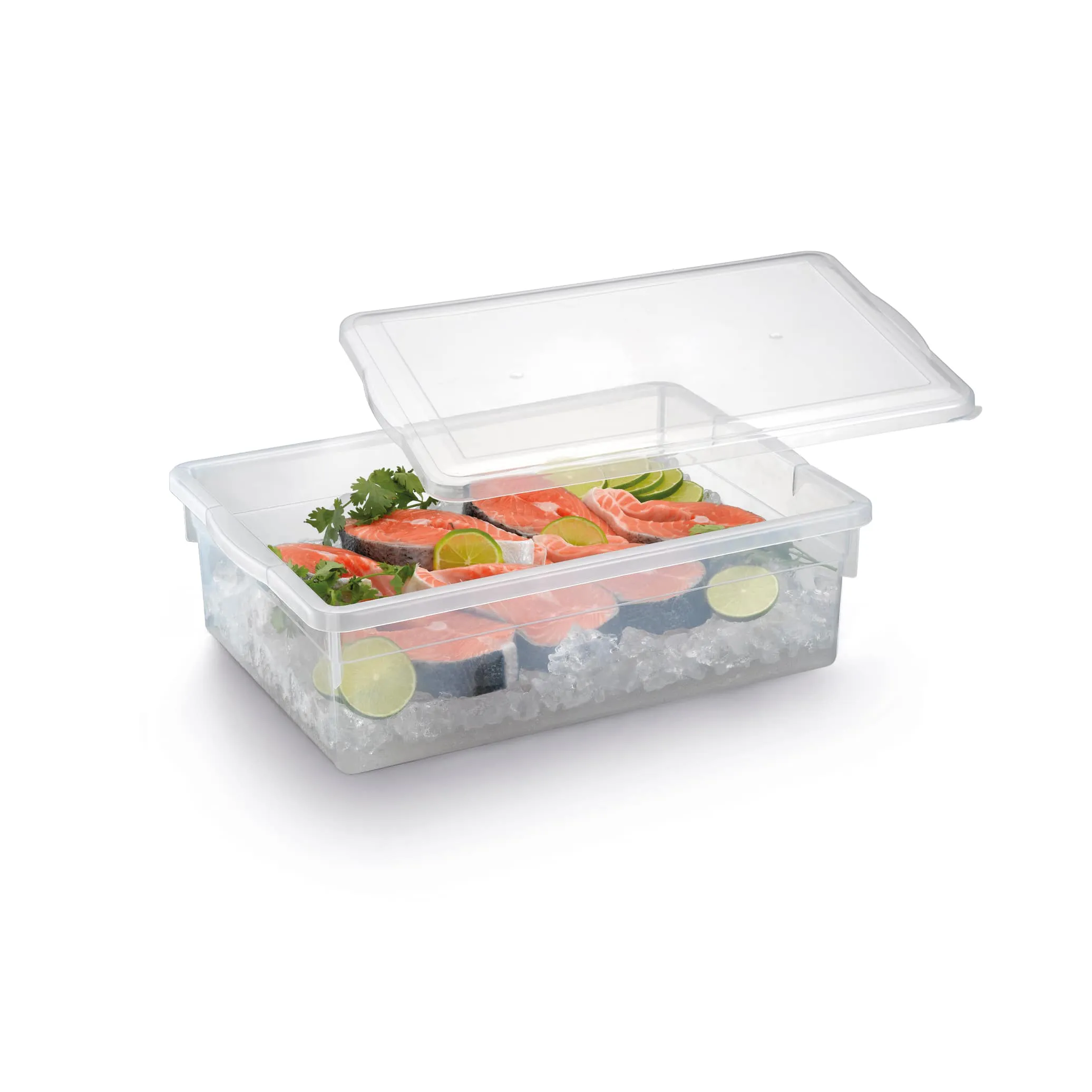 imagem de Caixa Organizadora Biopratika Com Tampa 5 Litros