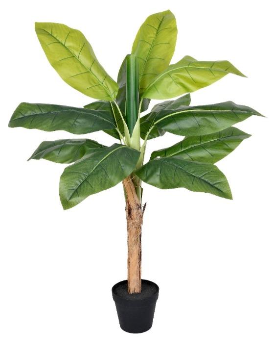 imagem de Planta Bananeira No Pote 1 Metro Verde