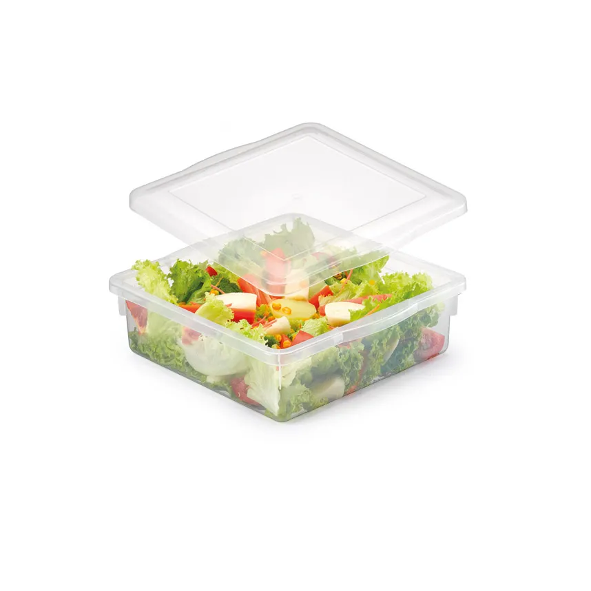 imagem de Caixa Organizadora Biopratika Com Tampa 4,5 Litros