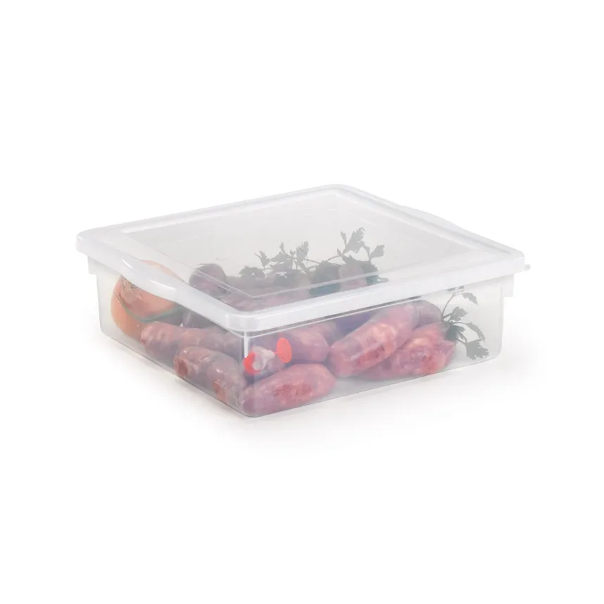 imagem de Caixa Organizadora Biopratica Com Tampa 8 Litros