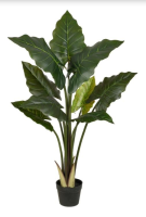 imagem de Planta Zamioculca X9 Grande 1,18 Metros Verde