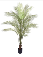 imagem de Planta Palmeira Areca X24 1,60 Metros Verde