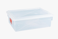 imagem de Caixa Organizadora Bioprátika Transparente 11L